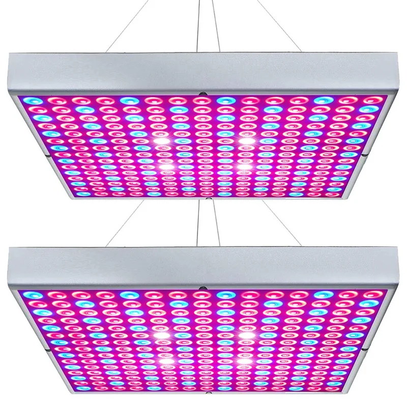 lightsdaddy633224