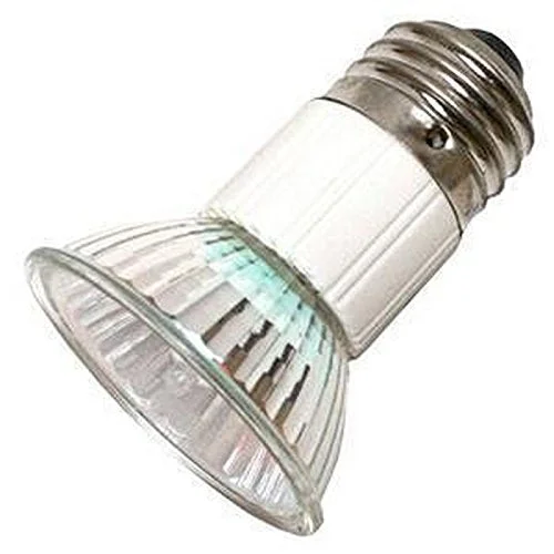 lightsdaddy656846