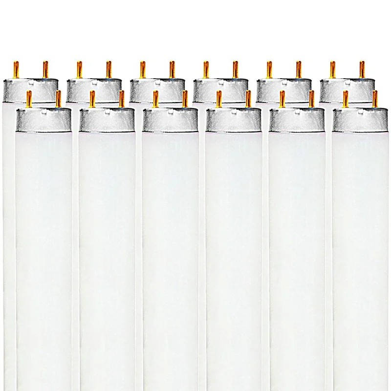 lightsdaddy658205