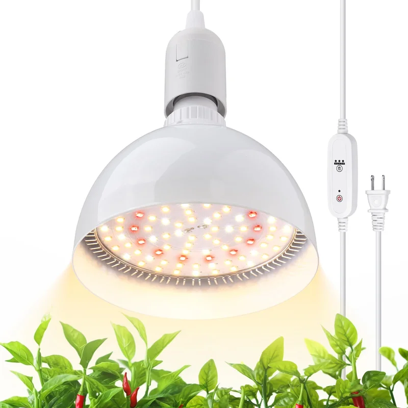 lightsdaddy706053