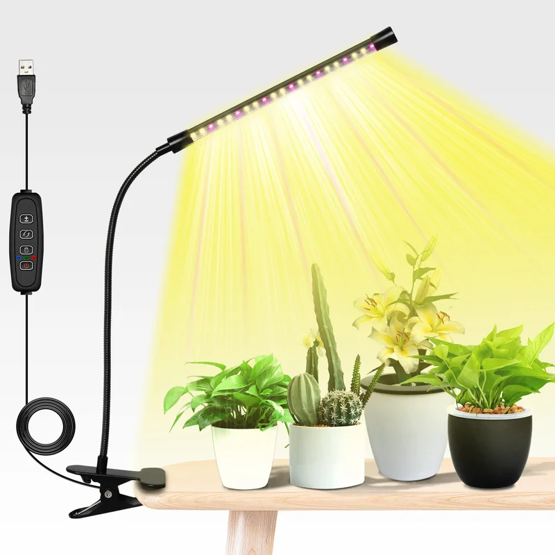 lightsdaddy706067