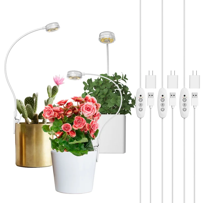 lightsdaddy706169