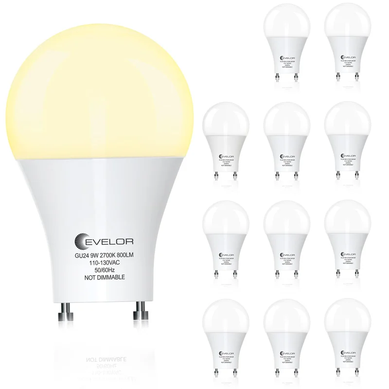 lightsdaddy783387