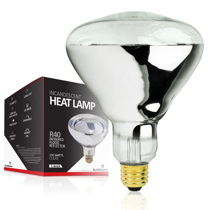 lightsdaddy785095