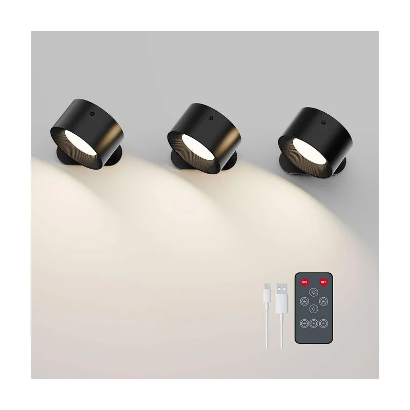lightsdaddy795397