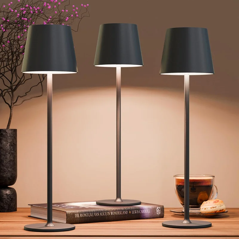 lightsdaddy800352
