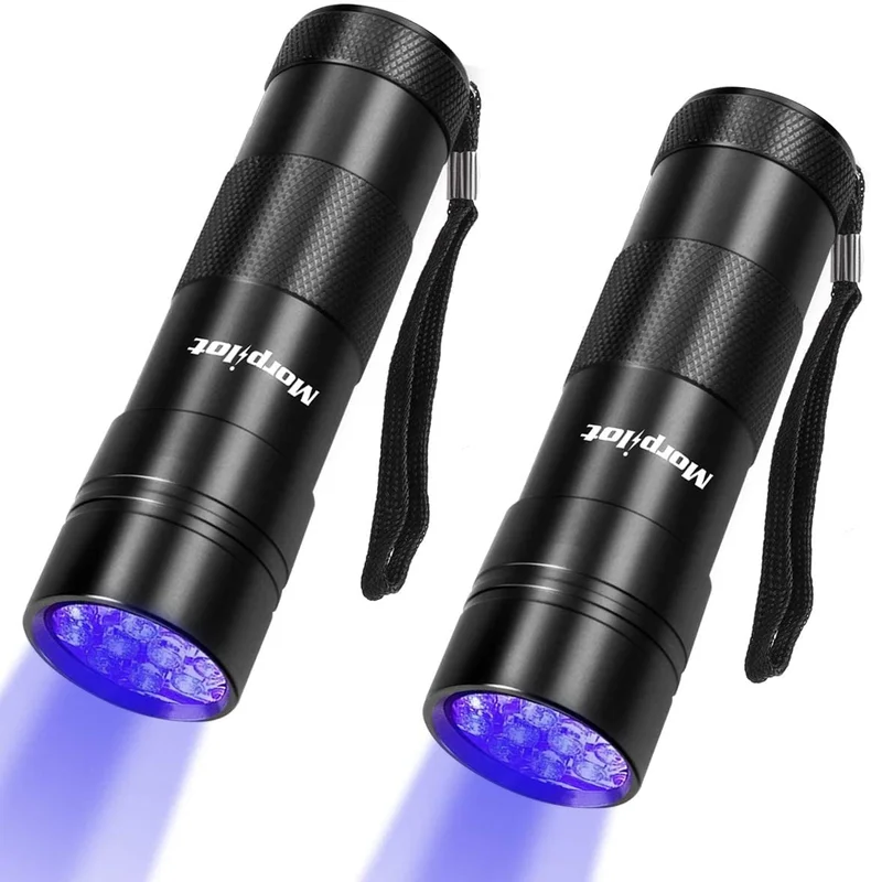 lightsdaddy801980
