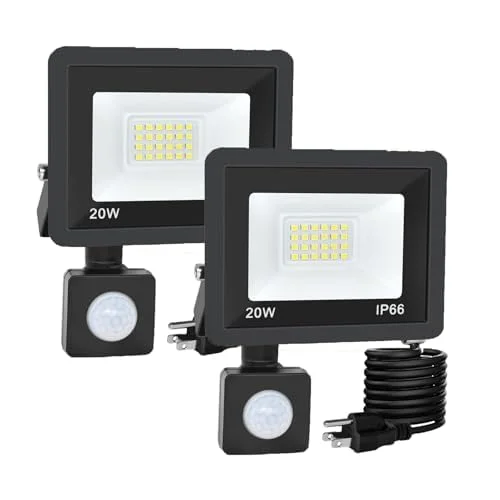 lightsdaddy806438
