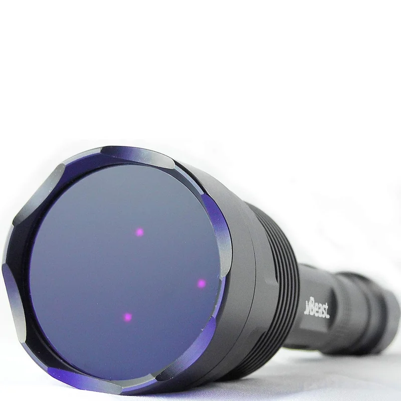 lightsdaddy809947