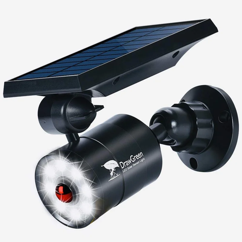 lightsdaddy810172