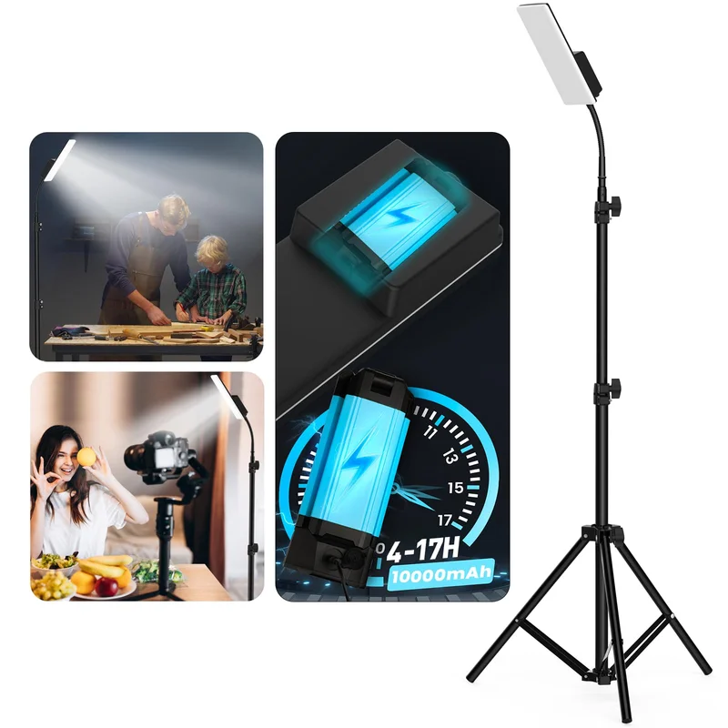 lightsdaddy810683