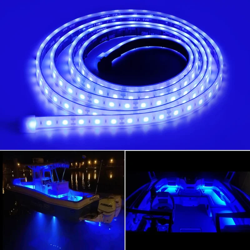 lightsdaddy811117