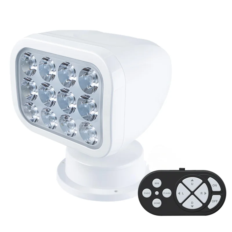 lightsdaddy816349