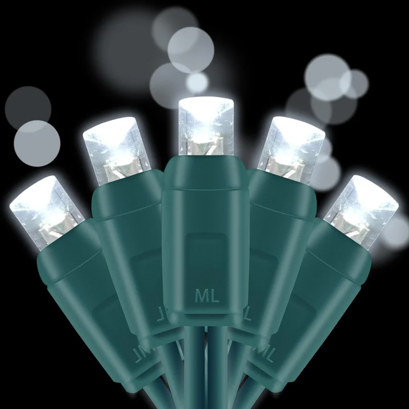 lightsdaddy821777