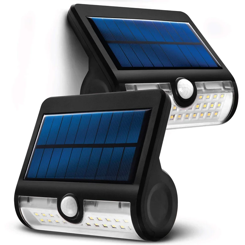 lightsdaddy824006