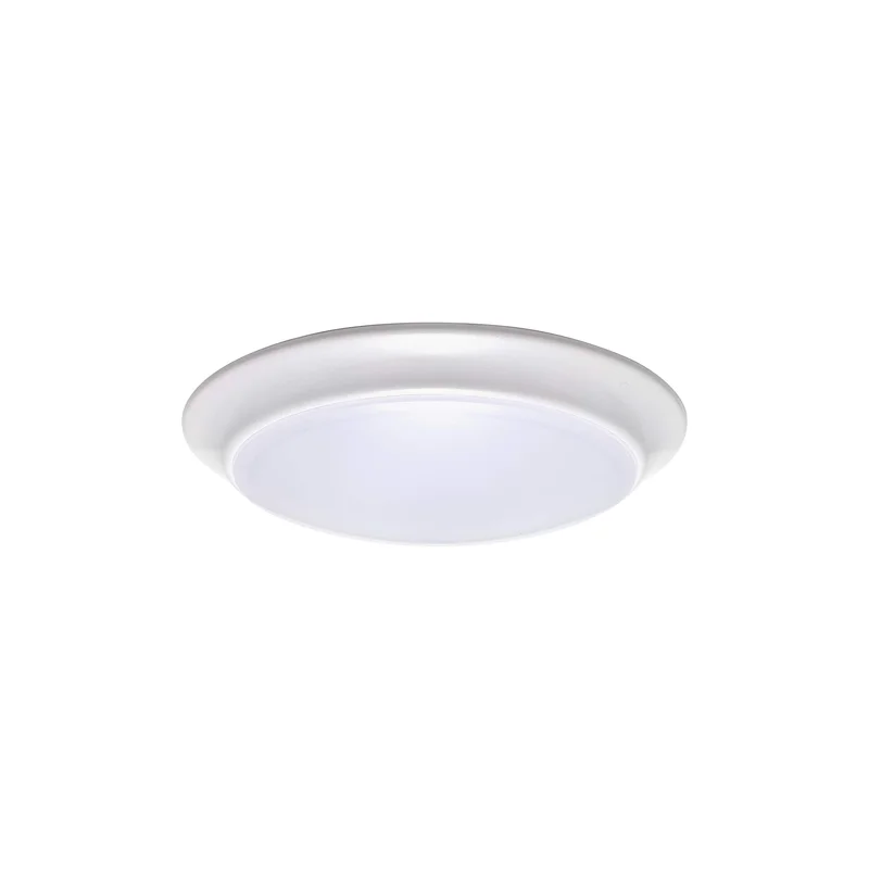 lightsdaddy824906