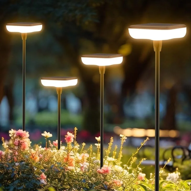 lightsdaddy825322