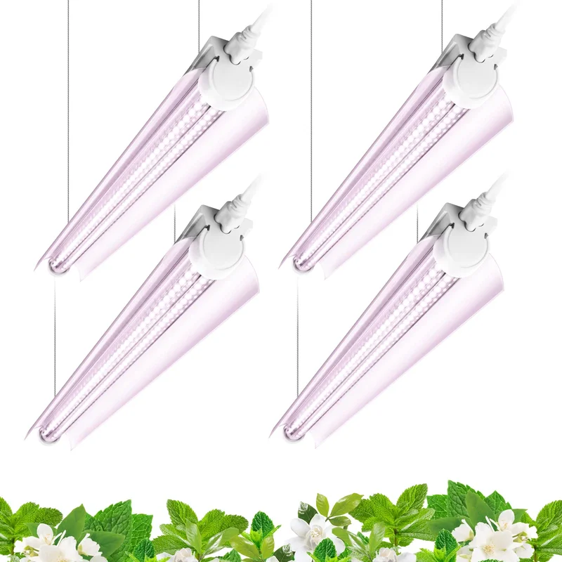 lightsdaddy826795