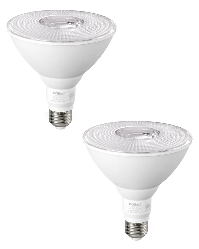 lightsdaddy835261