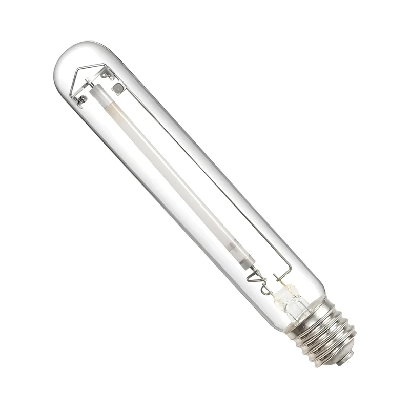 lightsdaddy841058
