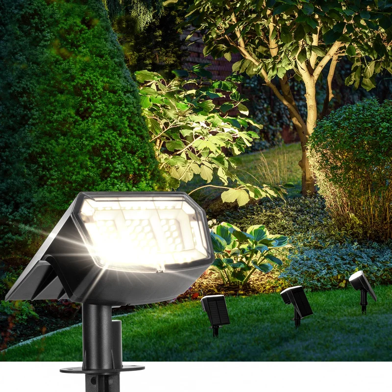 lightsdaddy844191