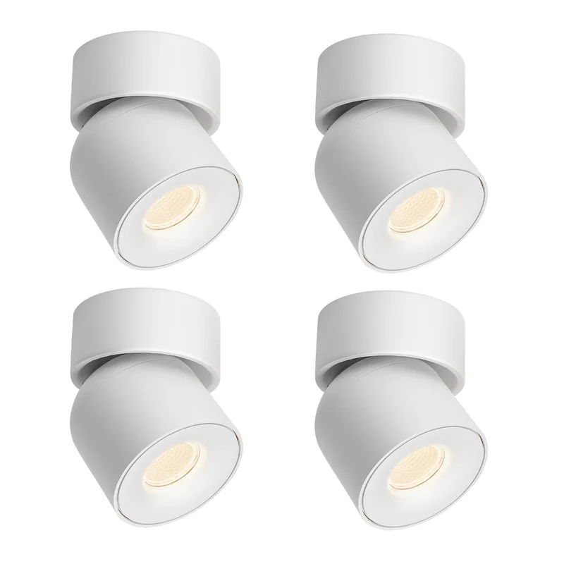 lightsdaddy848081
