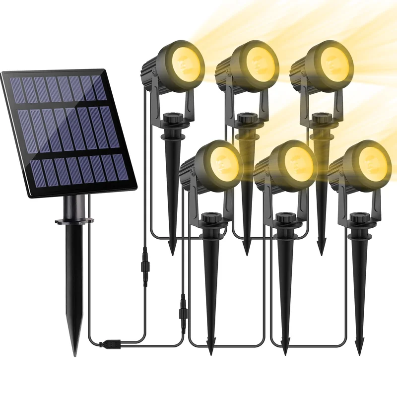 lightsdaddy849501