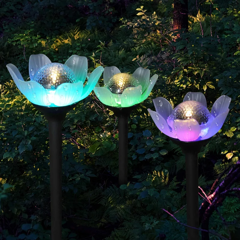lightsdaddy854172
