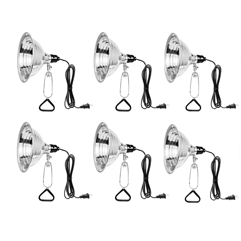 lightsdaddy861805