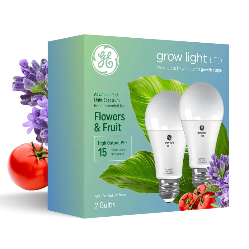lightsdaddy863082