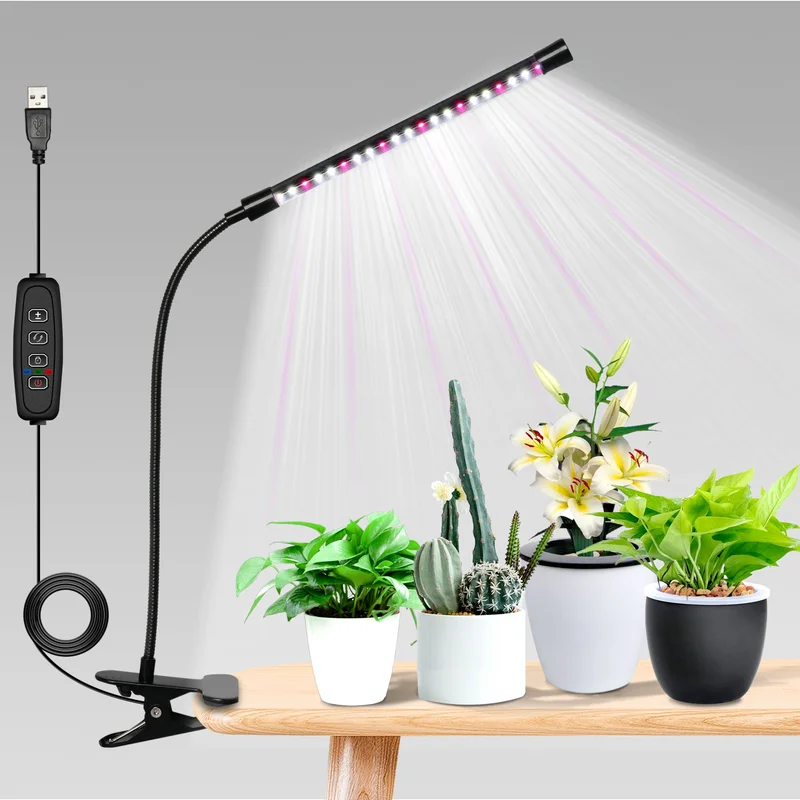 lightsdaddy866390