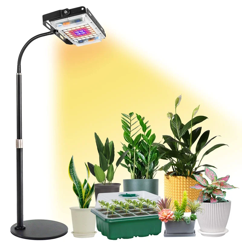 lightsdaddy869151
