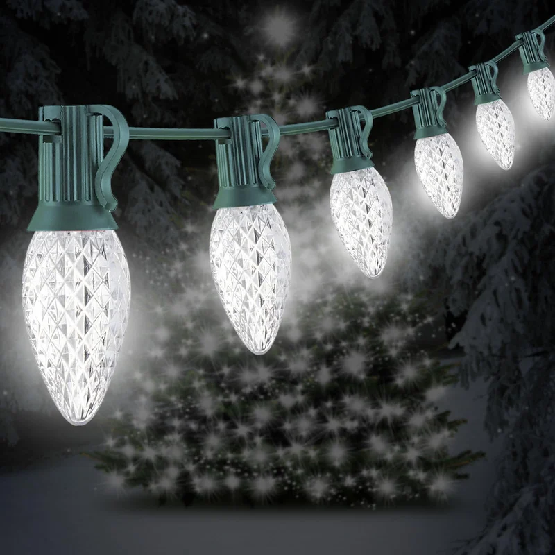 lightsdaddy920881