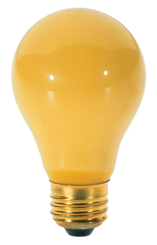 lightsdaddy926573