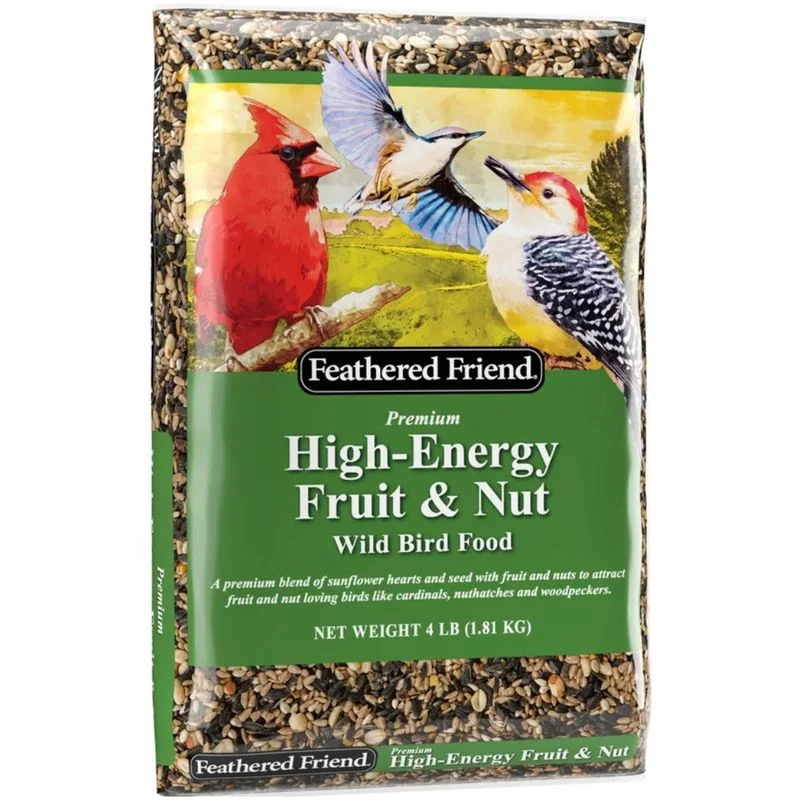nissleyfeed4169600