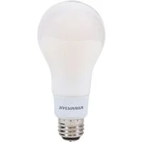 pettigrew-online4194289