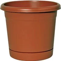 pettigrew-online4232831