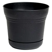 pettigrew-online4243232