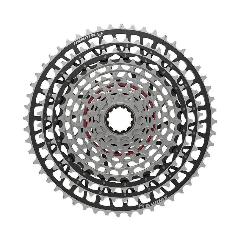 quantavici6635292
