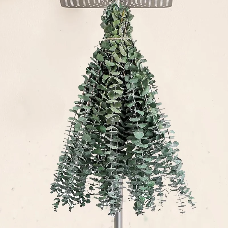 zeebooth-24519098