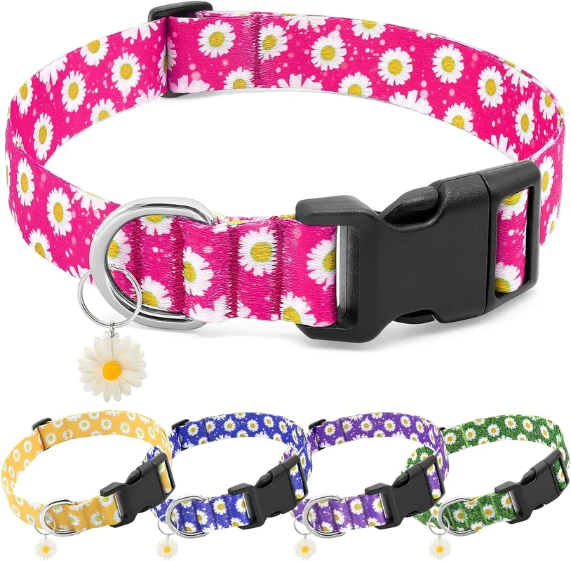 zeebooth-44485910