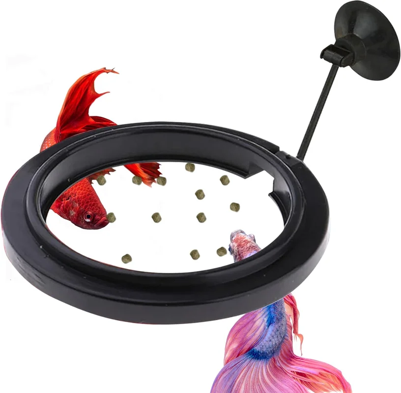 zeebooth-44553189