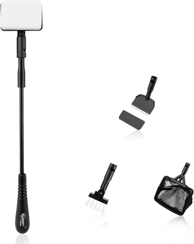 zeebooth-44569294