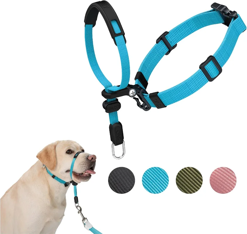 zeebooth-44638315