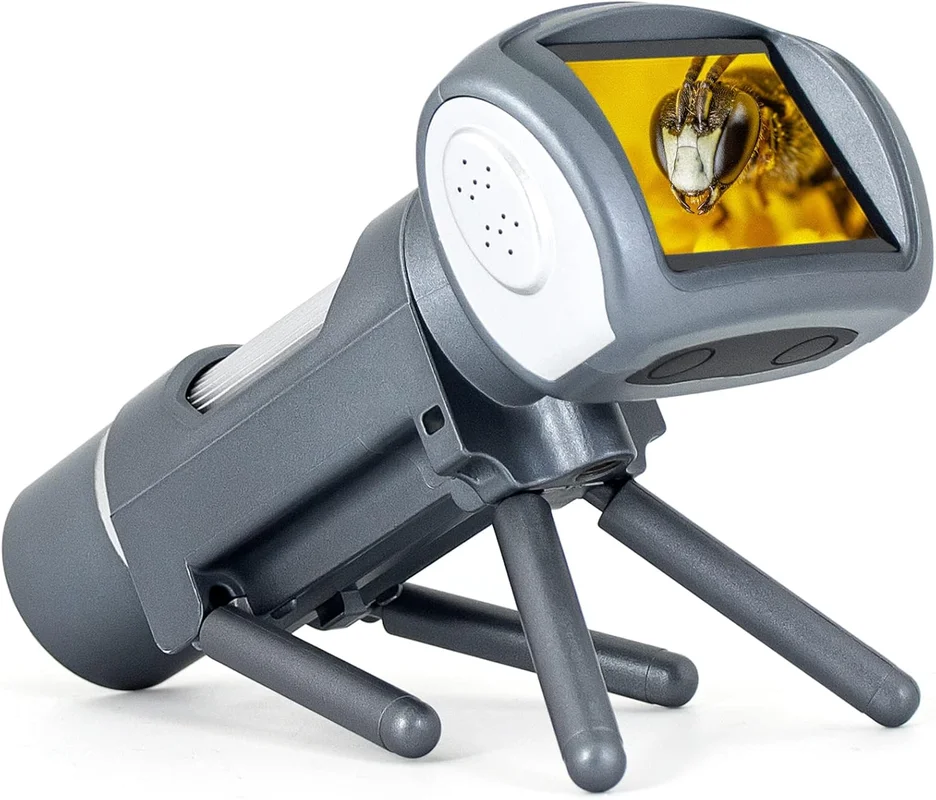 zeebooth-54375849