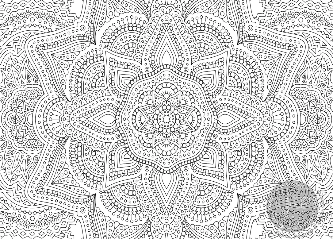 zeebooth4150488